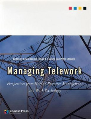 Livre Managing Telework Kevin Daniels