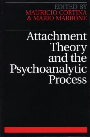 Könyv Attachment Theory and the Psychoanalytic Process Mauricio Cortina