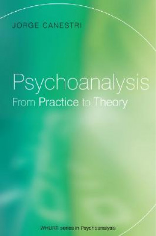 Kniha Psychoanalysis - From Practice to Theory Jorge Canestri