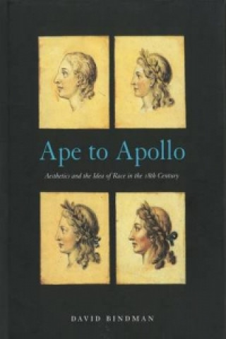 Buch Ape to Apollo David Bindman