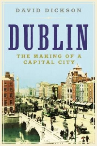 Buch Dublin DAVID DIXON