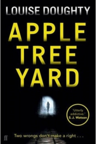 Kniha Apple Tree Yard Doughty Louise