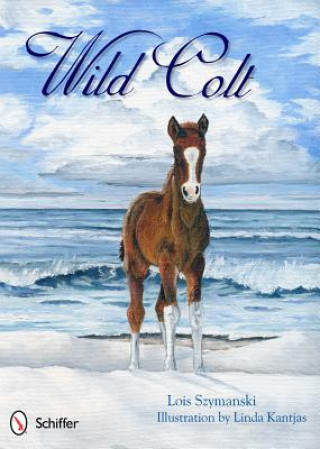 Kniha Wild Colt Lois K. Szymanski