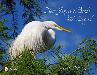 Kniha New Jersey Birds and Beyond Susan Puder