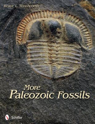 Kniha More Paleozoic Fsils Bruce L. Stinchcomb