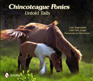 Kniha Chincoteague Ponies Lois Szymanski