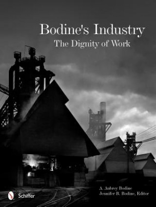 Книга Bodine's Industry: The Dignity of Work A Aubrey Bodine