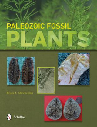 Kniha Paleozoic Fsil Plants Bruce L Stinchcomb