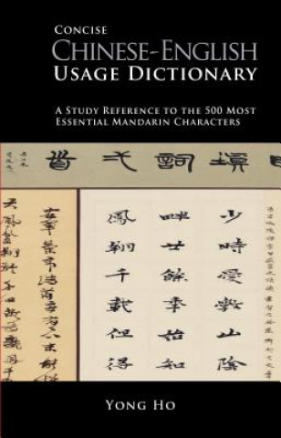 Kniha Concise Chinese Usage Dictionary Yong Ho