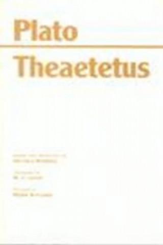 Könyv Theaetetus Plato