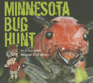 Kniha Minnesota Bug Hunt Bruce Giebink
