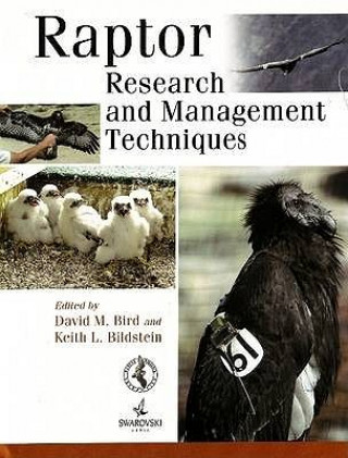 Książka Raptor Research and Management Techniques David M Bird