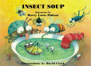 Kniha Insect Soup Barry Louis Polisar