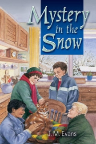 Könyv Mystery in the Snow J M Evans