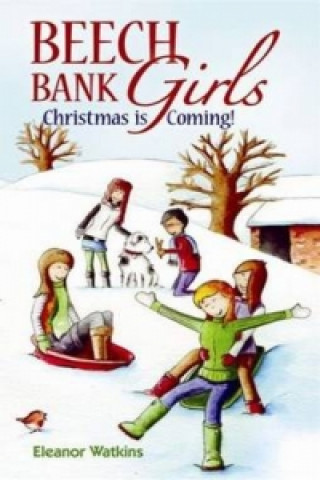 Kniha Beech Bank Girls Eleanor Watkins