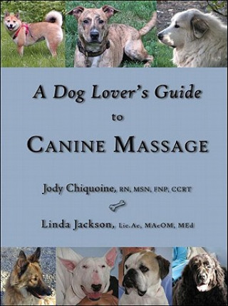 Kniha Dog Lover's Guide to Canine Massage Jody Chiquoine