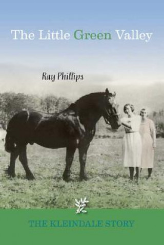 Kniha Little Green Valley Ray Phillips