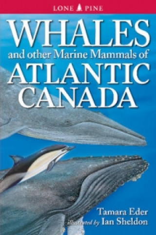 Carte Whales and Other Marine Mammals of Atlantic Canada Tamara Eder