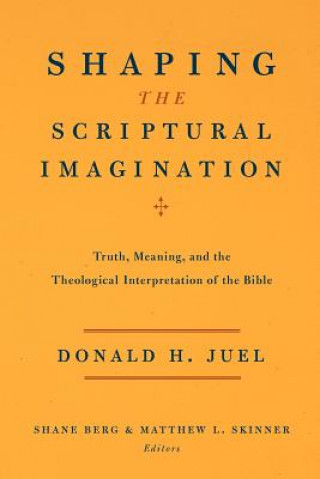 Kniha Shaping the Scriptural Imagination Donald H Juel