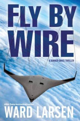 Kniha Fly By Wire Ward Larsen
