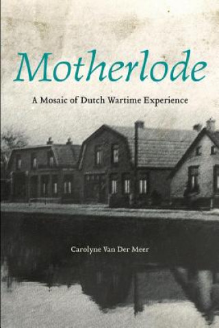 Book Motherlode Carolyne Meer