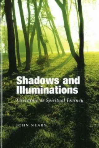 Könyv Shadows and Illuminations John Neary