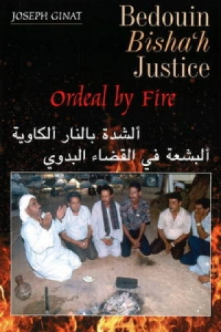 Livre Bedouin Bishah Justice Joseph Ginat