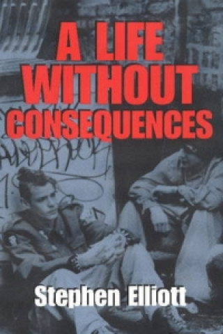 Kniha Life without Consequences Stephen Elliott