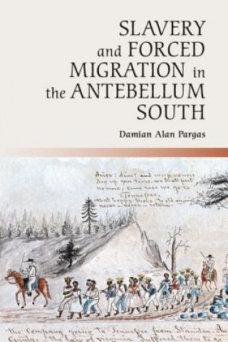 Könyv Slavery and Forced Migration in the Antebellum South Damian Alan Pargas
