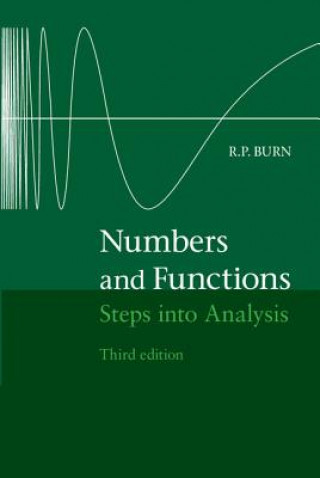 Könyv Numbers and Functions R. P. Burn