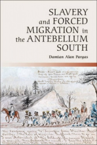 Könyv Slavery and Forced Migration in the Antebellum South Damian Alan Pargas