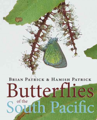 Könyv Butterflies of the South Pacific Brian Patrick