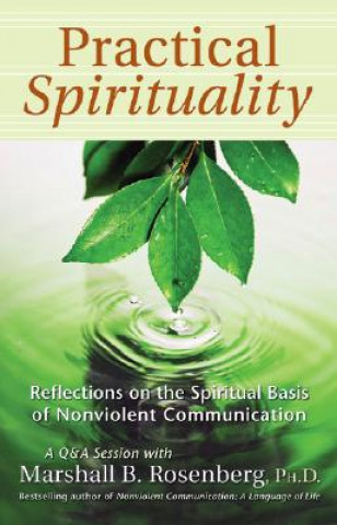 Knjiga Practical Spirituality Marshall B. Rosenberg