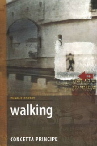 Könyv Walking Concetta Principe