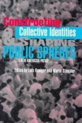 Kniha Constructing Collective Identities & Shaping Public Spheres Sznajder Roniger