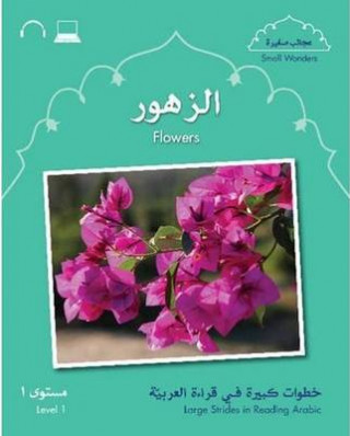 Kniha Small Wonders: Flowers Mahmoud Gaafar