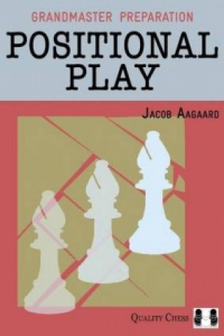 Kniha Positional Play Jacob Aagaard