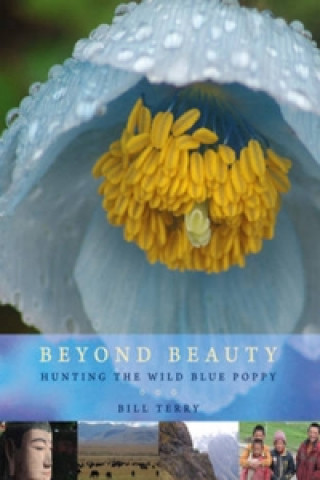 Книга Beyond Beauty Bill Terry