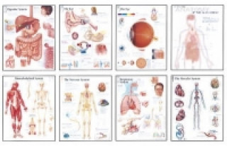 Kniha Human Anatomy Chart Pack Scientific Publishing