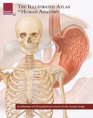 Carte Illustrated Atlas of Human Anatomy Scientific Publishing