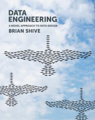 Könyv Data Engineering Brian Shive