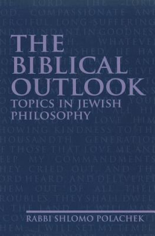Könyv Biblical Outlook Shlomo Polachek