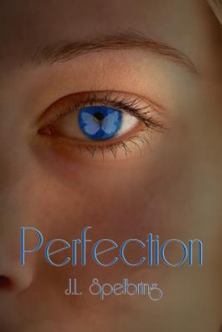 Книга Perfection JL Spelbring