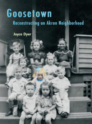 Livre Goosetown Joyce Dyer