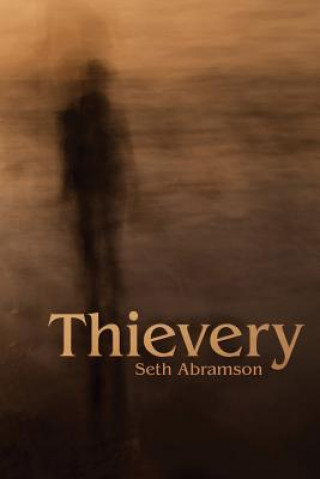 Kniha Thievery Seth Abramson