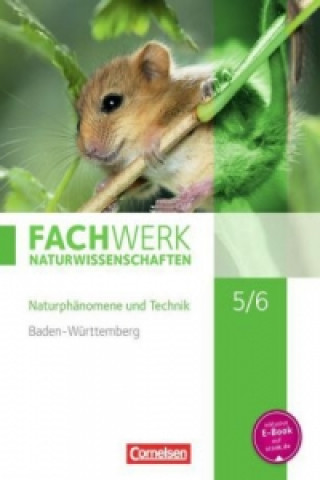 Könyv Fachwerk Naturwissenschaften - Baden-Württemberg - 5./6. Schuljahr: Biologie, Naturphänomene und Technik Thomas Baur