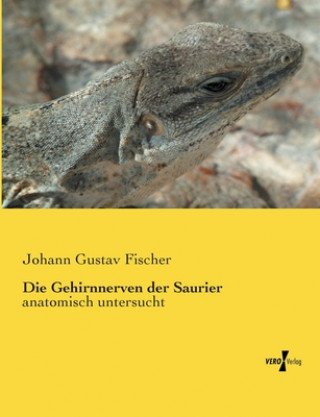 Carte Gehirnnerven der Saurier Johann Gustav Fischer