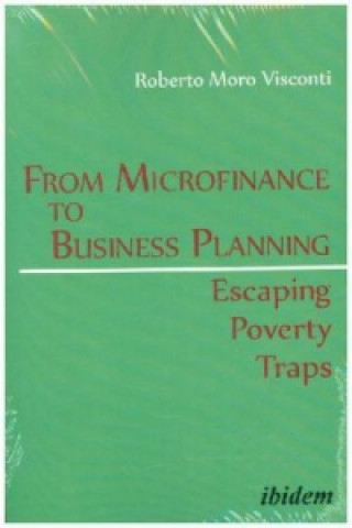 Buch From Microfinance to Business Planning Roberto Moro Visconti