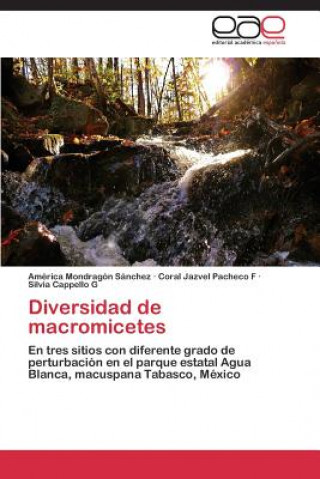 Libro Diversidad de Macromicetes América Mondragón Sánchez