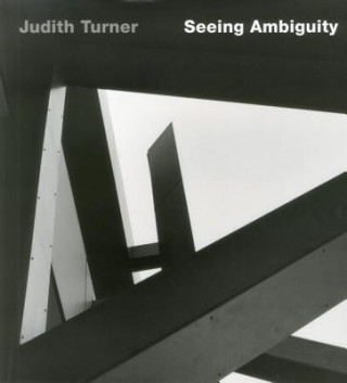 Buch Judith Turner: Seeing Ambiguity Judith Turner